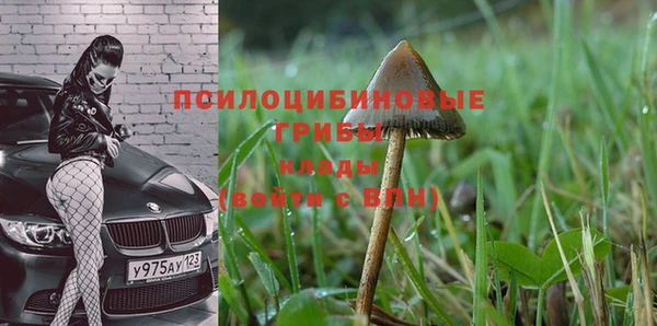 синтетический гашиш Алексин
